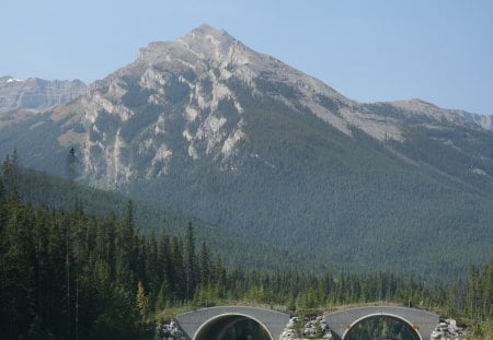 A day into the wild of Alberta - trees, grey, tunnels, photography, summit, green, mountains, road