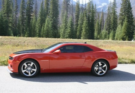 2010 Chevrolet Camaro - mountains, chevrolet, black, photography, orange, trees, tires, green