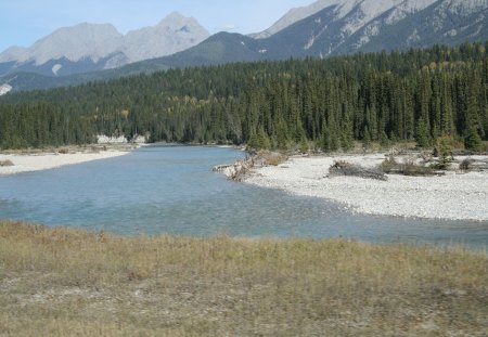 A day into the wild of Alberta 09 - trees, grey, photography, summit, green, rivers, mountains