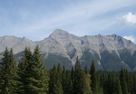 A day into the wild of Alberta 12 - summit, mountains, photography, trees, grey, green