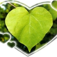 Natural Leaf Heart 2