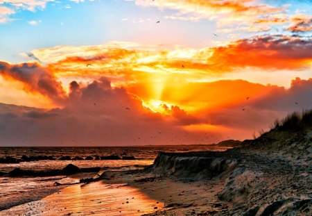 SUNSET SCENE - sky, beach, seagulls, sun, clouds, shore