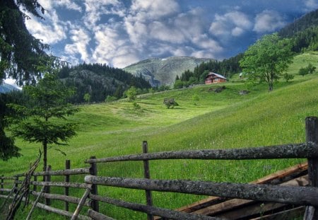 The Greens of Spring - village, greens, nature, spring, grass