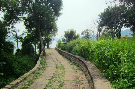 lakeside promenade - flowers, promenade, footpath, lakeside, tree