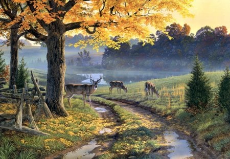 By Al Agnew - bend, magic, colorful, puddles, field, road, creek, art, sunny, color, grass, lake, mountain, landscape, deer, nature, forest, beautiful, nice, autumn, trees, peaceful, autumn leaves, path, mist, calm, painting, quiet, a bend in the road, fall, deers, tree, outdoor, rays, al agnew, lovely, serenity, dirt road, splendor, flowers