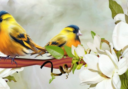 Yellow Bird Yellow Bird - warm, branch, birds, yellow, limb, summer, spring, fleurs, flowers, finch, bright, canaries