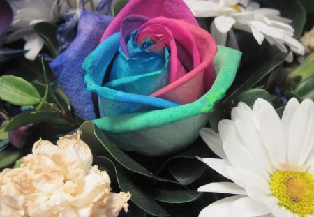 Rainbow flowers in my bouquet