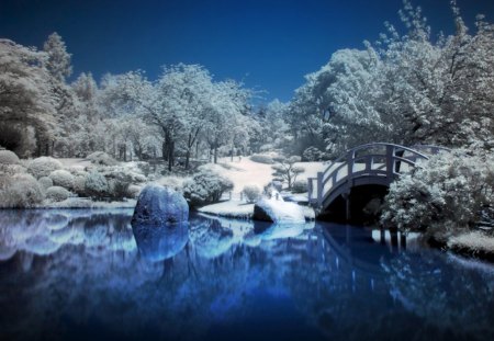 Dreamland - lake, trees, snow, winter, dreamland