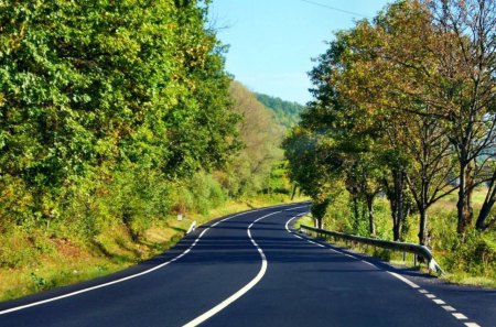 romanian way - outdoors, trees, forest, nature