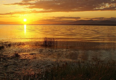 gorgeous sunset - clouds, grass, sunset, bay