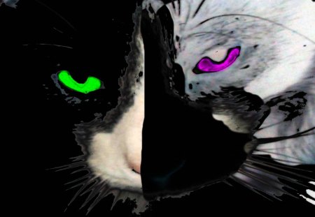 Abstract Cat - abstract, eyes, psychedelic, cat