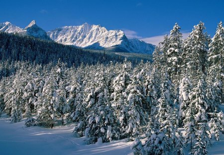 Fairview Town, Peace River, Alberta, Canada - sky, landscape, mountain, trees, daylight, day, water, winter, nature, white, forest, cold, blue, snow, river