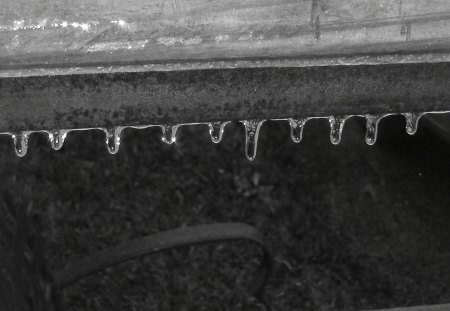 icicle shine - winter, icicles, black and white, shine