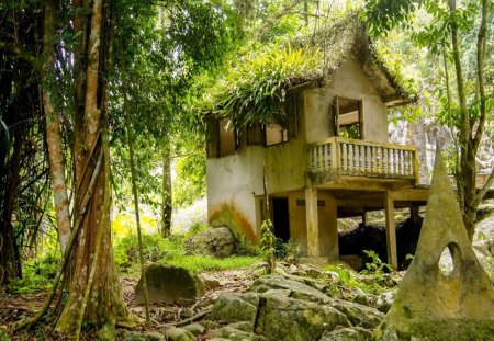 Floral House, Yamashita - sky, landscape, trees, daylight, day, ground, nature, forest, weeds, architecture, leaves, house, rock, grass