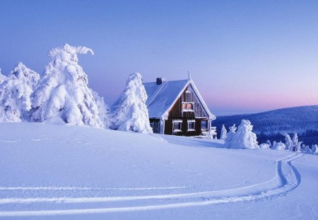 wonderful cabin in the winter - trees, winter, mountains, cabin