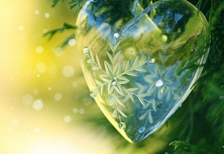 Heart of Glass - sunlight, heart, beautiful, ornement, photography, lovely, love, crystal, christmas, holiday, snowflake, pine, glass