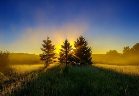 *** Amazing sunset *** - amazing, sky, sun, tree, west, field