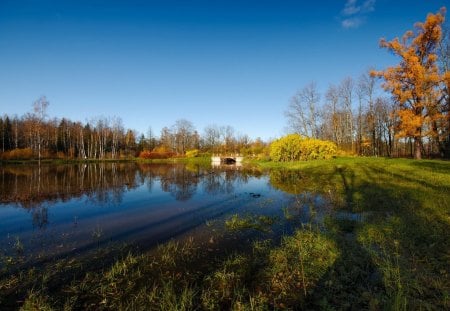 *** Amazing view *** - the view, trees, water, nature, amazing, lake