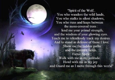 Wolf Prayer - wolf, moon, sky, abstract, animals, fantasy