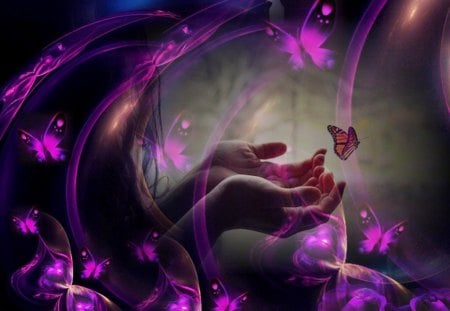 To catch a butterfly - hands, purple, abstract, butterfly, girl, 3d and cg