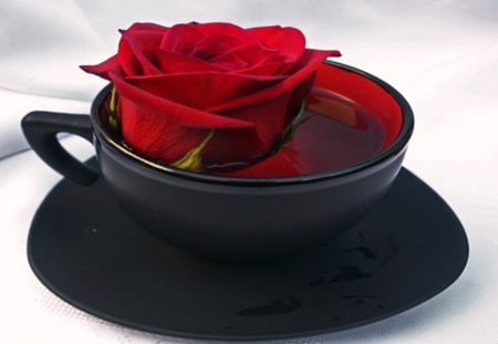 Redrum Rose - abstract, rose, saucer, flower, redrum, cup