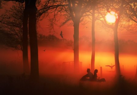 Life changes - forest, people, life, trees, sunset, nature, mist