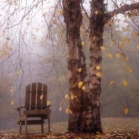 Autumn leaves falling on the chair