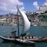 beautiful sailboat with city background