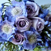 *** Blue bouquet ***