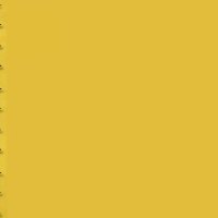 Vertical Side Border 2