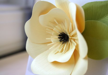 Delicate Magnolia♥ - delicate, beautiful, ornament, flower, gentle, sweet, magnolia, nature, green, paper