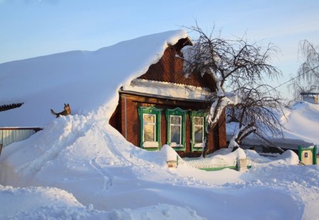 Russian Winter - russia, cold, snow, fence, buildings, sun