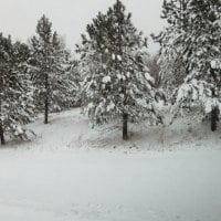 Winter wonderland in Alberta