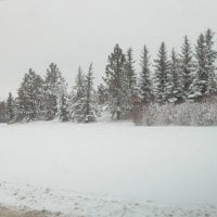 Winter wonderland in Alberta 02