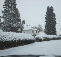 Winter wonderland in Alberta 12