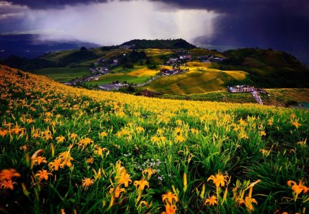 flowers in the meadow after a storm - valley, popular, hills, wallpaper, meadow, mountains, storm, nature, village, clouds, flowers