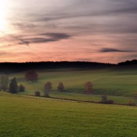 morning meadow landscape