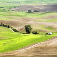 cultivated landscape in summer