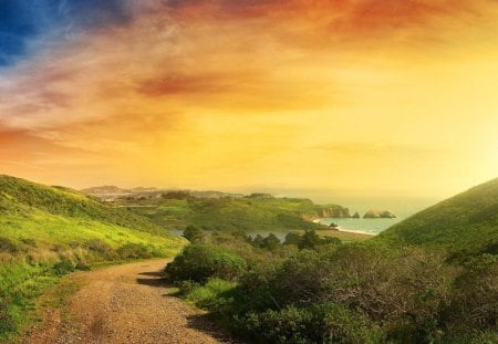 sunny road to the coast - yellow sky, road, bushes, coast