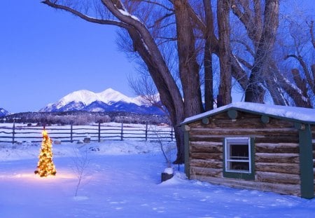 christmas at a lone cabin - xmas tree, winter, cabin, mountains, fence