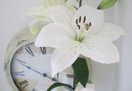 I give you a flower♥ - forever, fashion, present, clock, entertainment, love, flower, white, ribbon, gift, bow