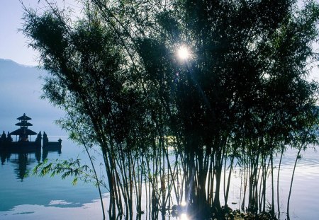 sunrise on a temple in bali - sunrise, sea, temple, reeds