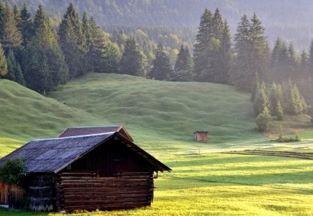 wooden cabin in the meadow - cabin, mist, meadow, forest, mountains