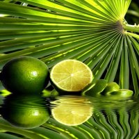 Lemons reflection