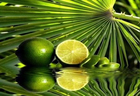 Lemons reflection - pretty, reflection, leaves, citrus, fresh, mirrired, exotic, nice, fruits, greenery, beautiful, lovely, freshness, tropics, tropical, green, lemons