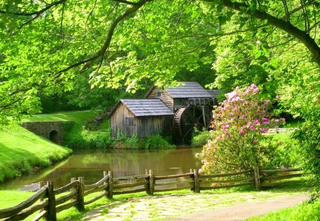 Mabry mill - nice, cottage, trees, greenery, mirrored, pretty, reflection, green, house, pond, branches, mabry, fresh, lake, fence, place, lovely, mill, bushes, nature, forest, beautiful, cabin, flower