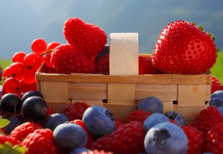 Fresh berries in basket - beautiful, delicious, raspberries, yummy, fresh, nature, mountain, colorful, red, blueberries, fruits, strawberries, freshness, nice, lovely, berries, basket