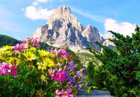 Dolomiti-Val Gardena - pretty, summer, bushes, spring, alleys, mountain, flowers, path, fresh, cliffs, dolomiti, nice, sky, clouds, greenery, beautiful, snowy, lovely, freshness, peaks, wildflowers, colorful, nature, delight, val gardena, floral, rocks