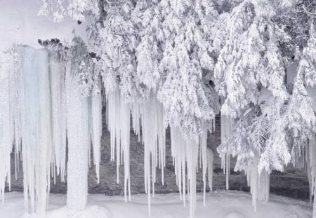 As Cold As It Gets - winter, freeze, waterfall, frozen, icicles, trees, ice, snow