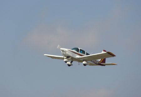 Little Bird Skyward - sky, plane, private plane, bird